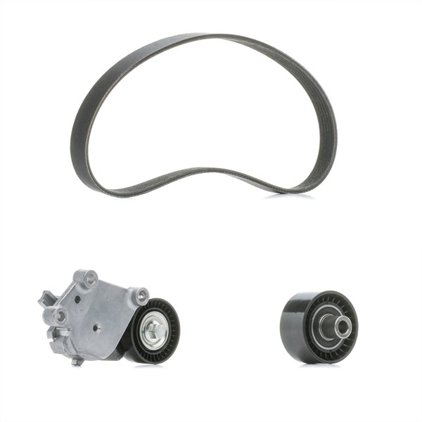 Y65015980A OE RIDEX PLUS Komplet rebrastega jermena 542R0226P