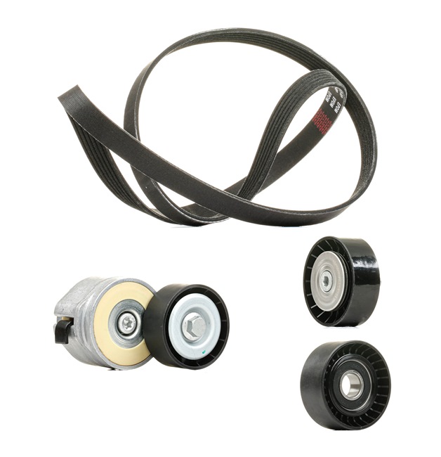 Kit Cinghie Poly-V RIDEX PLUS 542R0206P adatti per ALFA ROMEO prezzi economici