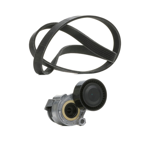 RIDEX PLUS 117207020R Poly V-riem set