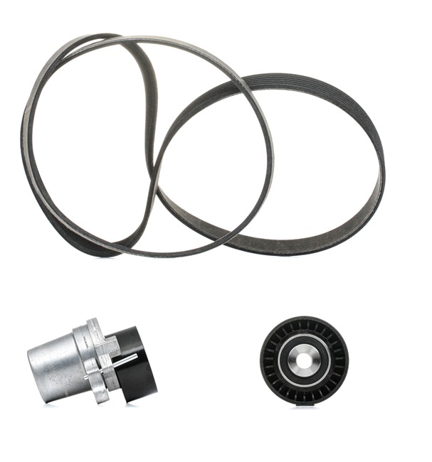 RIDEX PLUS 542R0315P Rebrasti jermen RENAULT Megane IV Hatchback (B9A/M/N) 1.8 Blue dCi 150 (B9A7) Dizel 150 km 2025