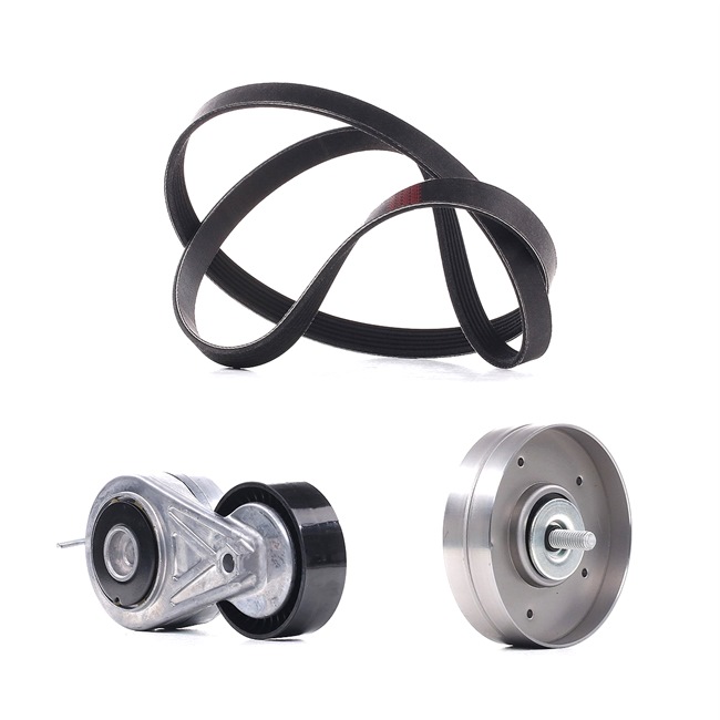 06H903341C OE RIDEX PLUS Jogo de correias trapezoidais estriadas 542R0277P