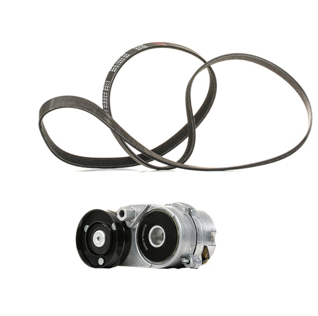 RIDEX PLUS 542R0534P Komplet rebrastega jermena AUDI A4 B6/B7 Cabrio (8H7, 8HE) 2.4 Bencin 163 km 2002