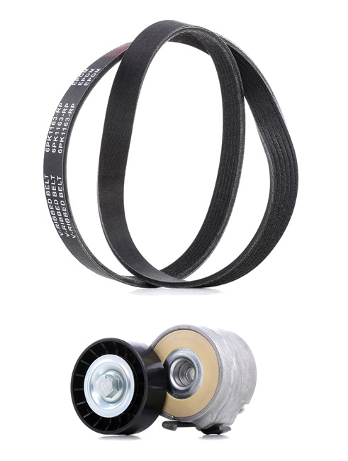 RIDEX PLUS 542R0359P Kit cinghia servizi FIAT Ducato Camion pianale / Telaio (250_, 290_) 3.0 Natural Power GNC 136 CV 2019 prezzo
