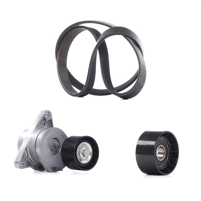 7701473441 OE RIDEX PLUS Komplet rebrastega jermena 542R0550P