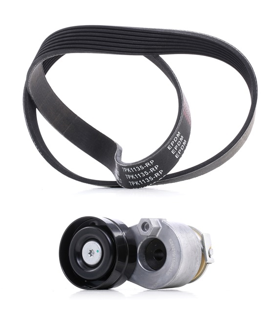 7701477520 OE RIDEX PLUS Komplet rebrastega jermena 542R0421P