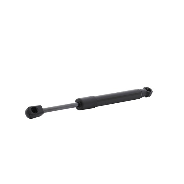 RIDEX 514G0193 Bonnet struts RENAULT Scénic III (JZ0/1_) 1.6 dCi Diesel 130 hp 2016 price