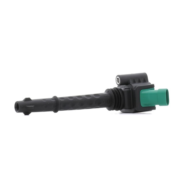 46337742 OE RIDEX Zündspule 689C0481