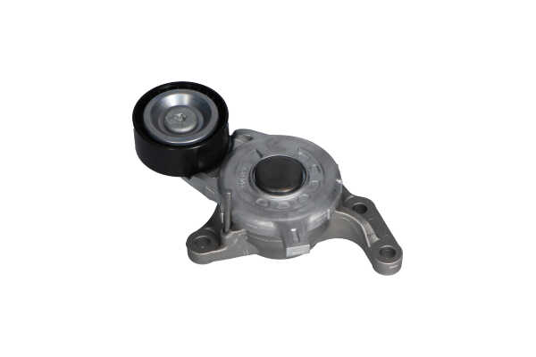 KAVO PARTS DTP-10002 Spanrol multiriem OPEL Vivaro C Combi (K0) 2.0 Diesel 150 Pk 2024 kosten