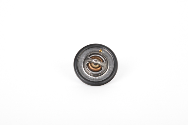 Continental 28.0200-4160.2 Termostato de agua 400 Tourer (XW) 1.6 i Gasolina 122 cv 1996 precio