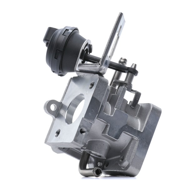 4198E0187 RIDEX Válvula EGR AUDI A3