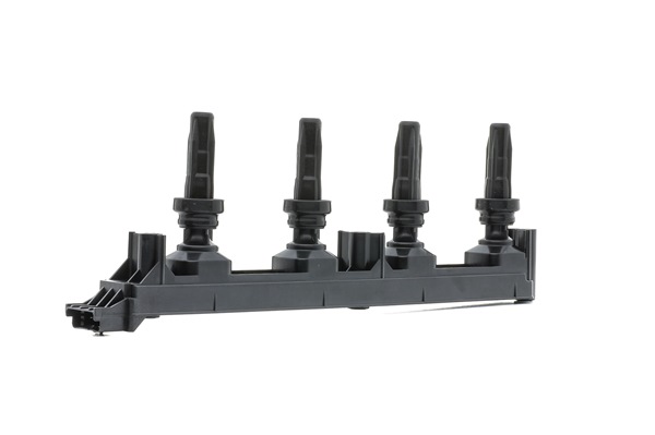 689C0111P RIDEX PLUS 5970A0 Zündspule