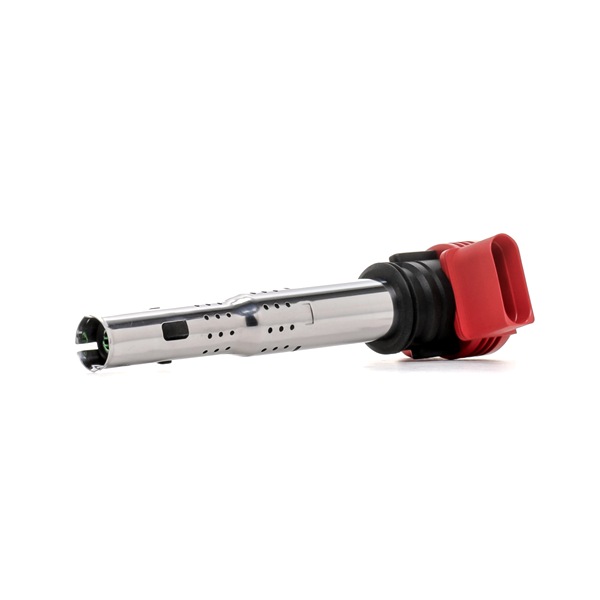 06E905115C OE RIDEX PLUS Bobina d'accensione 689C0050P