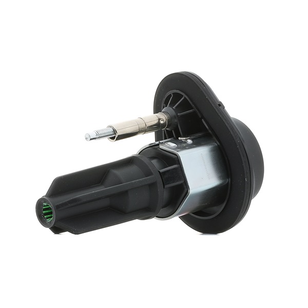 689C0349P RIDEX PLUS 028310 Zündspule