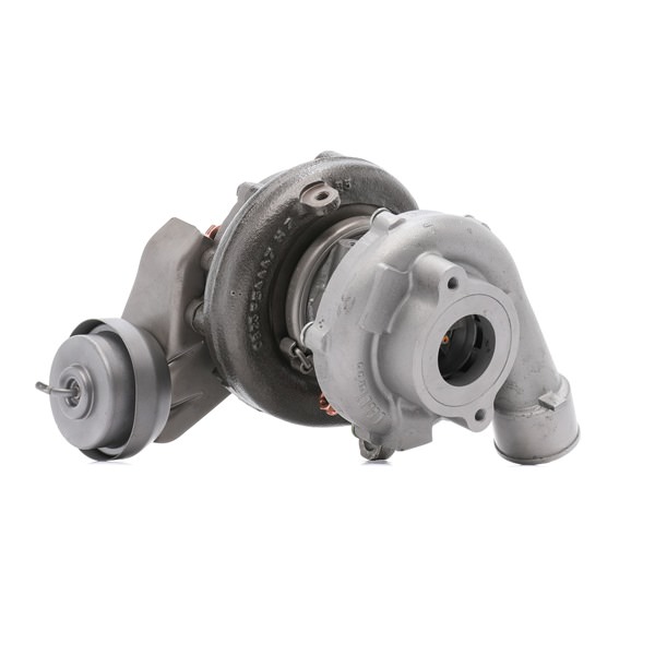 2234C10555R RIDEX REMAN 1720126030 Turbolader