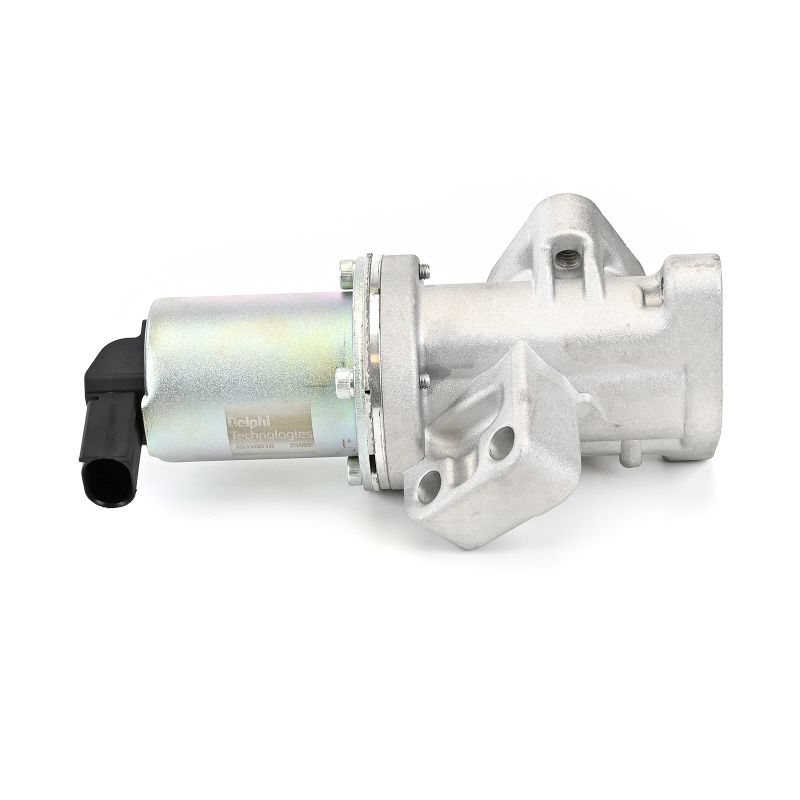 AGR-Ventil DELPHI EG10618-12B1 passend für HYUNDAI, KIA zum günstigen Preis