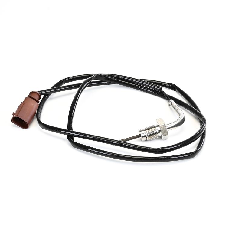 TS30319-12B1 Sensore temperatura DPF DELPHI VOLKSWAGEN TRANSPORTER prezzo