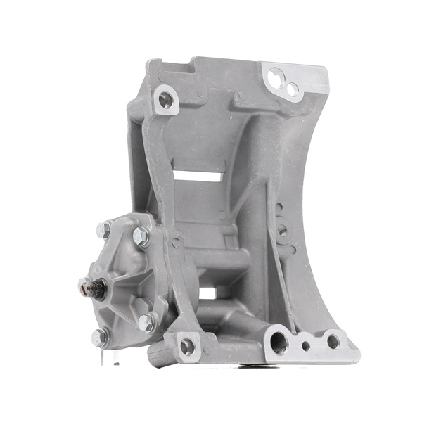 MAGNETI MARELLI 351516000070 BMW X5 Öljypumppu