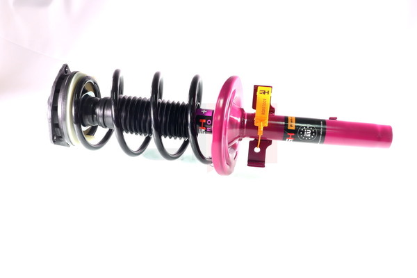 Jambe de suspension GH GH+353970C03 appropriées pour RENAULT pas cher