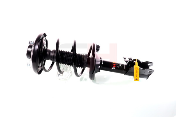 GH-352237C01 GH 54320CL70A Federbein