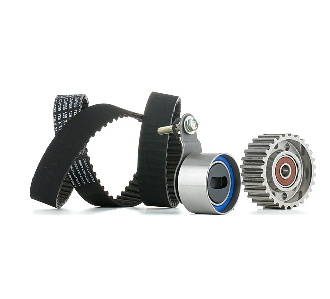 1356859066 OE SNR Kit de distribution KD469.03