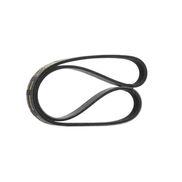 1449474 OE RIDEX PLUS Multireim 305P0019P