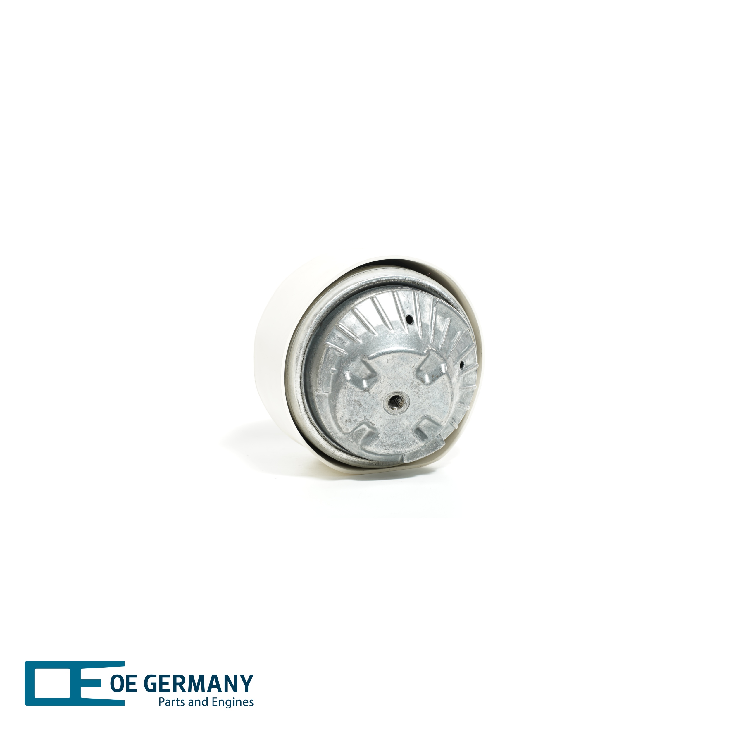 OE Germany 800138 Motorsteun Mercedes W220 S 500 5.0 (220.075, 220.175, 220.875) Benzine 299 Pk 2000 kosten