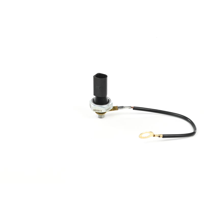 06D919031 OE DELPHI Öldruckschalter SW90054