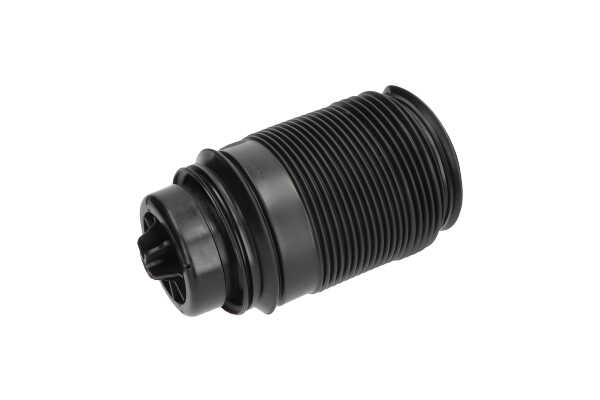 A2123200825 OE KAVO PARTS Ressort pneumatique SAS-10019