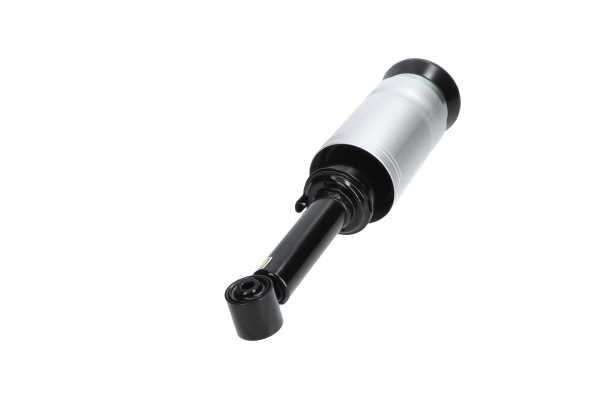 SAS-10027 KAVO PARTS RNB501590 Luftfederbein
