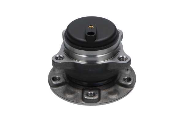 WBK-10077 KAVO PARTS 3646254 Radlagersatz