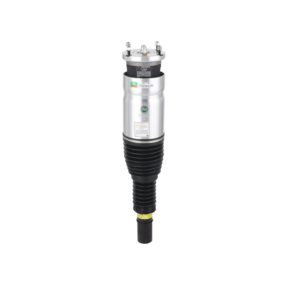 LR087081 OE Arnott Air suspension strut ASE-3756