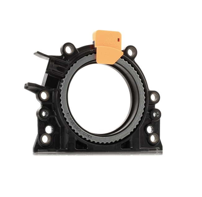 REINZ Retentor, cambota 81-90052-00