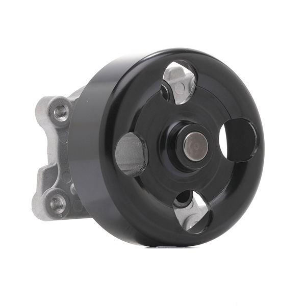 B1010EN20B OE RIDEX Vandpumpe 1260W0725