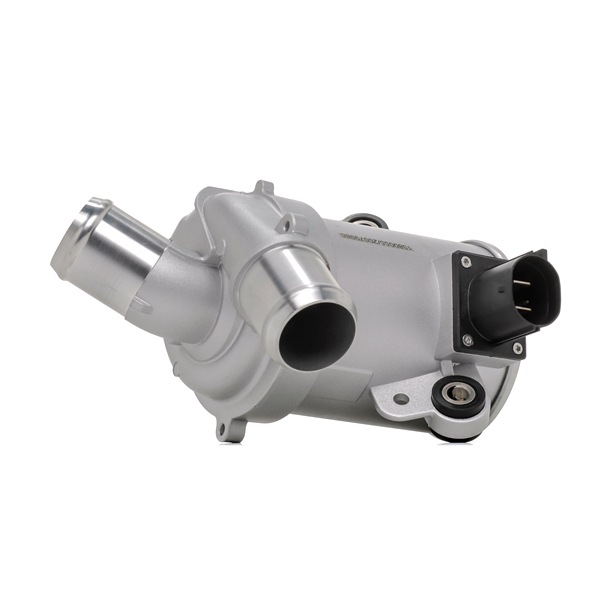 DS7E8C419CB OE RIDEX Vandens siurblys 1260W0904