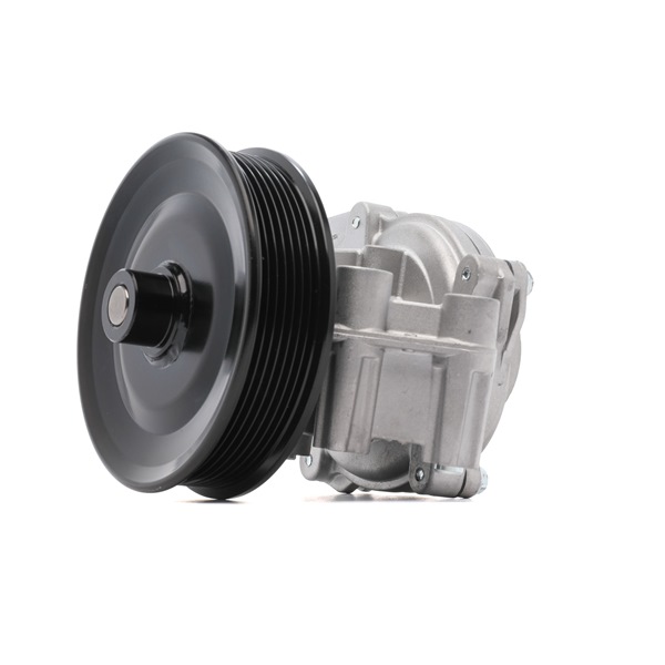LR156697 OE RIDEX Pompe à eau 1260W0987