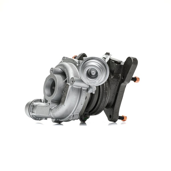 95516206 OE RIDEX REMAN Turbocharger 2234C10514R