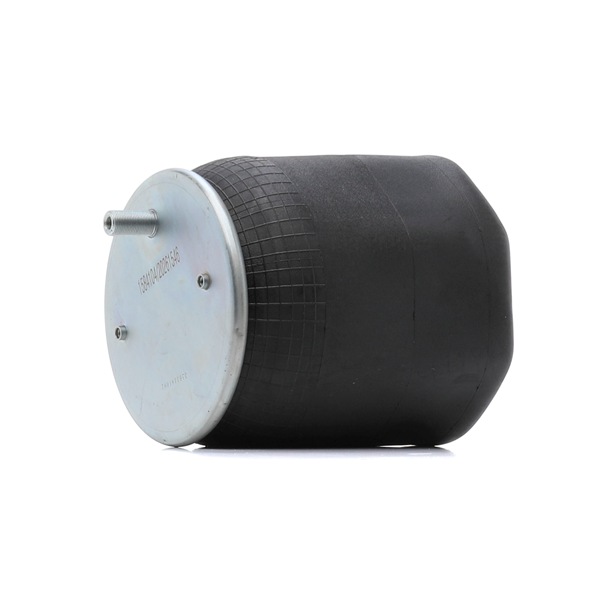 016558 OE RIDEX Oro pagalvės 4119A0139