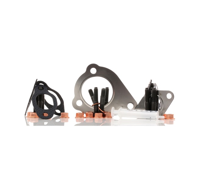 ELRING Kit de montagem, turbocompressor 704.020