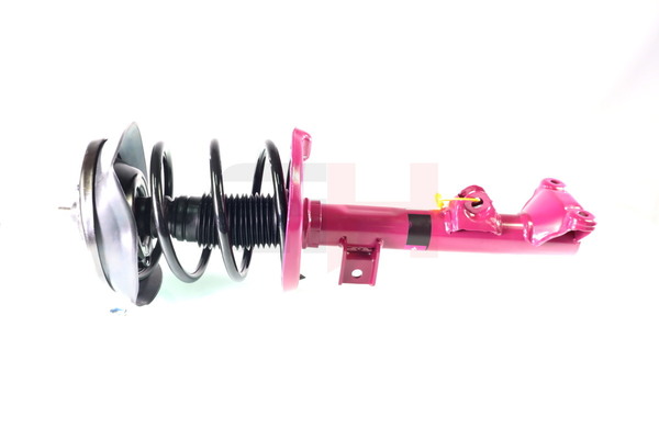 2033200056 OE GH Suspension Strut GH+353300C04