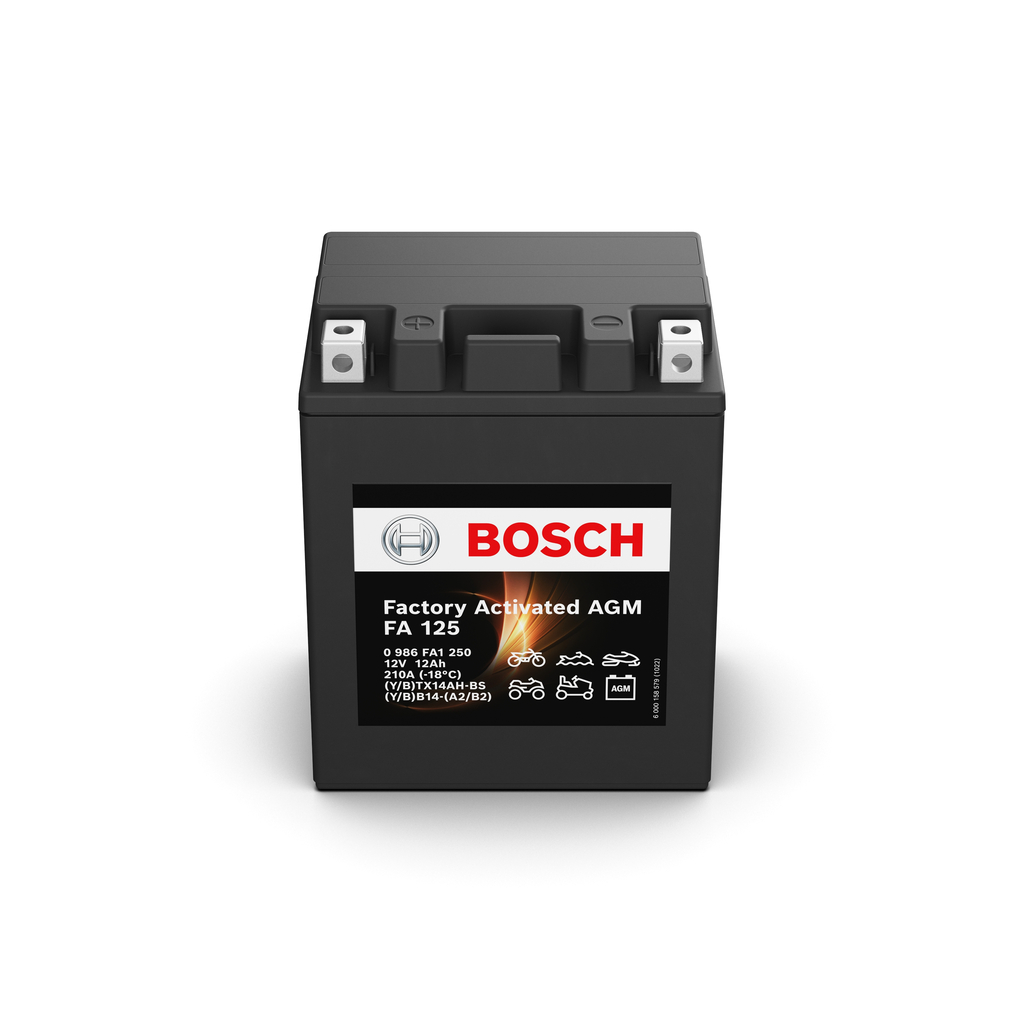 Käynnistysakku BOSCH 0 986 FA1 250 sopivat MERCEDES-BENZ, VW, BMW, TOYOTA, VOLVO halvalla