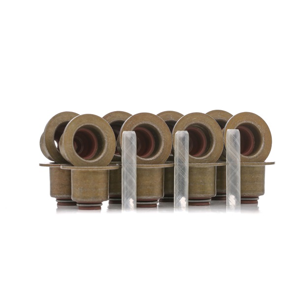 ELRING 530.070 genuine BMW F20 valve stem seals price