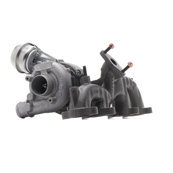 RIDEX REMAN 038253019N Turbocharger