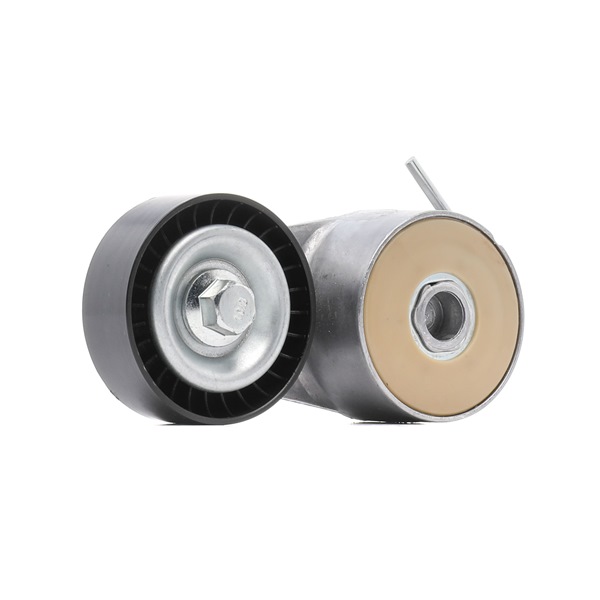 RIDEX PLUS 310T0045P Napenjalni valj, rebrasti jermen FIAT Idea (350_) 1.2 16V Bencin 80 km 2007