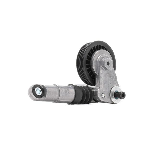 038903315D OE RIDEX PLUS Galet tendeur de courroie d'accessoire 541V0024P