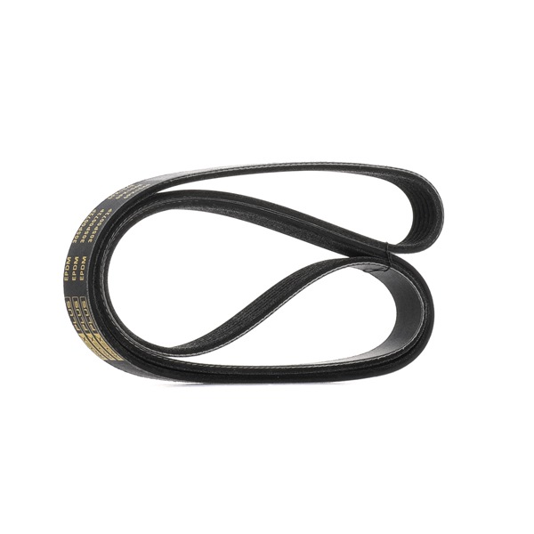 032145933AA OE RIDEX PLUS Courroie Poly-V 305P0072P