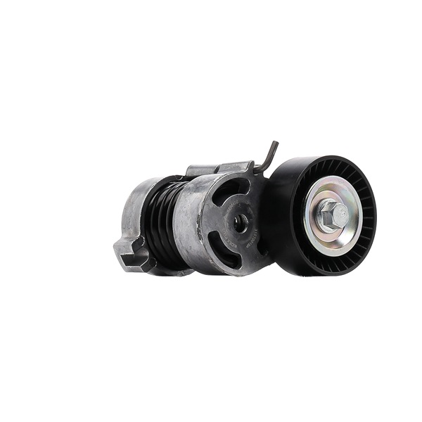 RIDEX PLUS 310T0019P Spanner poly v riem 3 Compact (E46) 316ti 1.6 Benzine 115 Pk 2004 kosten