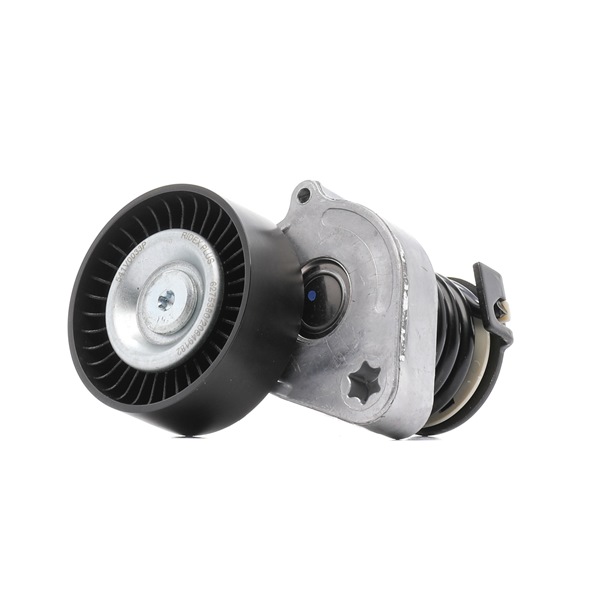 RIDEX PLUS 541V0033P Tensor de correa MERCEDES-BENZ Sprinter 3.5-T Furgoneta (W906) 316 NGT 1.8 (906.633, 906.635) Gasolina/Gas natural (CNG) 156 cv 2014 precio