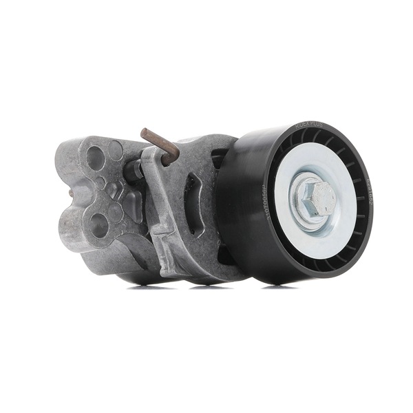 RIDEX PLUS 310T0056P Įtempiklio skriemulys, v formos rumbuotas diržas Peugeot 206 SW 1.6 Flex benzinas / etanolis 113 AG 2007