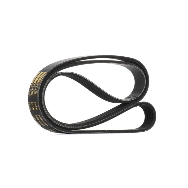 5750GZ OE RIDEX PLUS Multireim 305P0173P