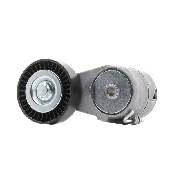 RIDEX PLUS 310T0025P Spanrol multiriem Corsa C 1.6 (F08, F68) Benzine 84 Pk 2007 kosten